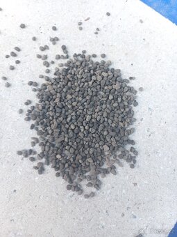 Liapor - 4