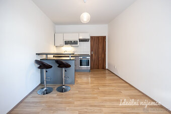 Pronájem bytu 2+kk, Biskupcova, Žižkov, 21900 Kč/měs, 44 m2 - 4