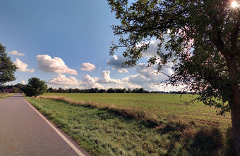 Pole u Zbýšova_Kutná Hora - 4