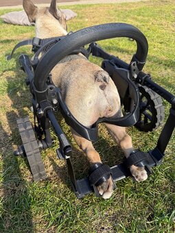 Vozíček Anyonego - 4