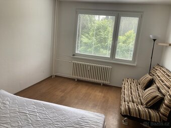 Pronájem bytu 1+1 Janske Lazne - 4