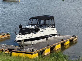 STINGRAY 250CS + príves - 4