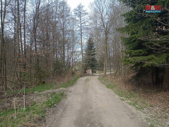 Prodej louky, 6962 m², Kořenov - 4