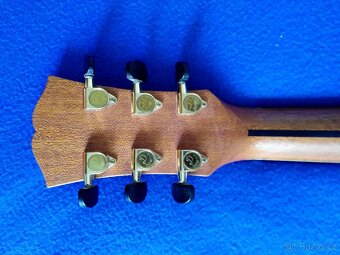 Predam ak. gitaru Dowina Wayfare GAC /Wenge/ CELOMASIV - 4
