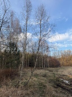 Prodám pozemky v k.ú. Stéblová - 4