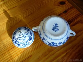 Cibulák - cukřenka velká - 4