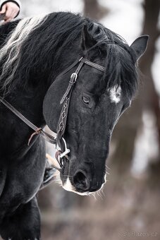 Připouštění APH - 4