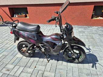 Mokik MS Steward (STELLA) /MORINI/ - BABETTA - 4