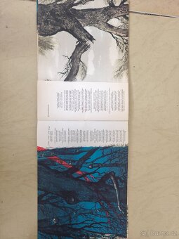 Litografie Karel Hynek Mácha - 4