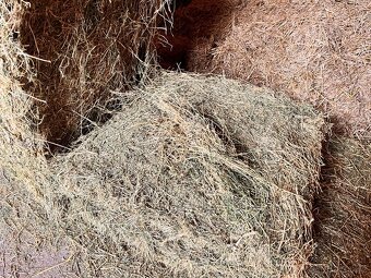 Prodej sena - 4