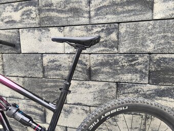 Kellys swag 30 M 2025 - 4