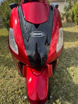 Selvo 3100Li - 4