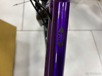 Rascal 20 LTD - 4