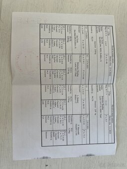 Prodám dva samce ČČP - 4