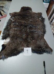Prodám kožešiny z oveček - 4