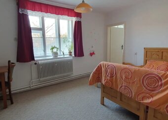 Prodej domu s pozemky, 27000 m², Městečko Trnávka - Pěčíkov - 4