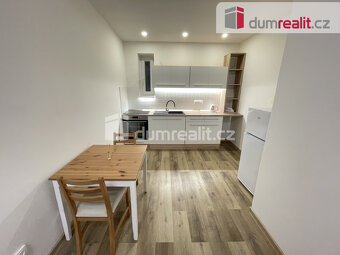 Pronájem bytu 2+kk 48 m2 P3 Žižkov po rekonstrukci cihla - 4