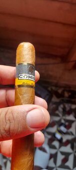 Cohiba - 4