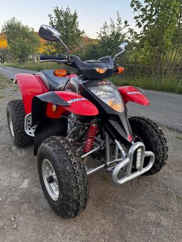 Suzuki Baja Extreme 300 - 4