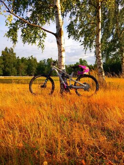 Prodám Canyon Torque Mullet AL 7 (XL) – téměř nové, FOX 38 + - 4