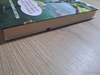 Jak si neudělat z domova cirkus jako na Piccadilly, Hana Wh - 4