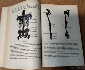 Kniha - domácí lékař - 4