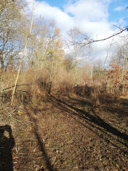 Olomouc řepčín zahrádka 455 m2 - 4