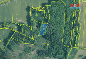 Prodej lesa, 20093 m², Skály - 4