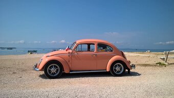 Prodám VW BROUK r.v.1962 - 4