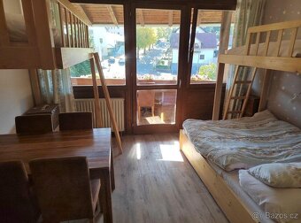 Pronájem apartmánu Bavorská Ruda - 4