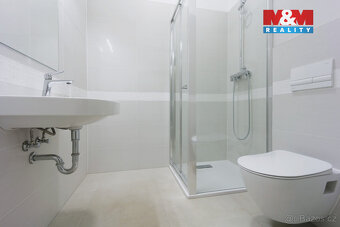 Pronájem bytu 1+kk, 55 m², Plzeň, ul. Americká - 4