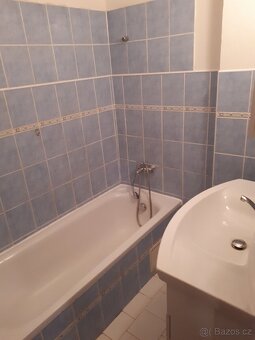 Horní Beřkovice - Pronájem RD se zahradou a bazénem - 4