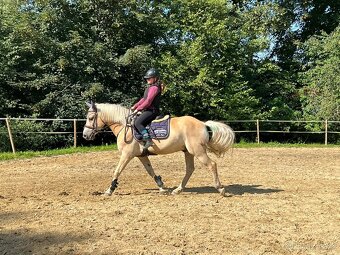 Patnáctiletý hafling - 4