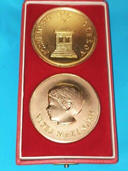Pamětní medailon k narození dítěte Holešov - 4