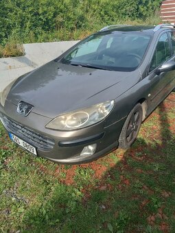 Peugeot 407 - 4