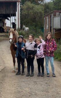 WELSH MOUNTAIN PONY PRO DĚTI - 4