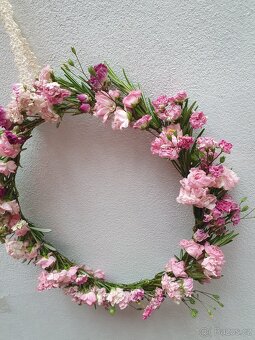 Růže drobnokvětá růžová - 4