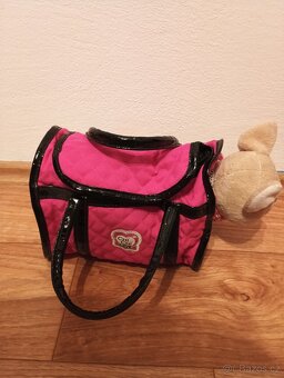 Pes v nosící tašce - 4