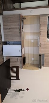 Pronajmu zařízený byt 1kk s balkonem - 4