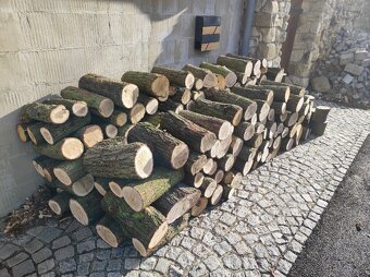 Levné palivové dřevo Žatec - 4