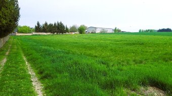 Stavební pozemek v obci Stavenice - 4