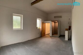 Prodej, komerční prostor, 330m2, Planá - 4