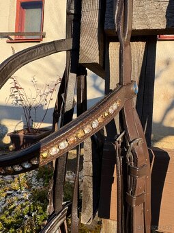 Hnědá uzdečka xFull - 4