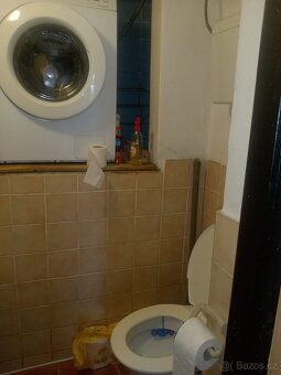 Pronájem bytu v domě se zahradou - 4