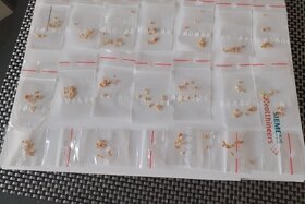 INFINITY CHILLI PEPPER - 4