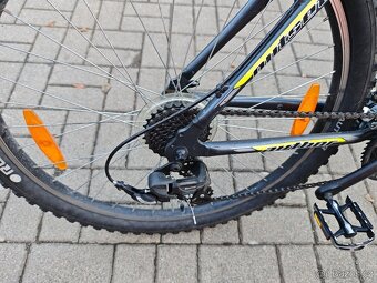 Author Outset 19 - 4