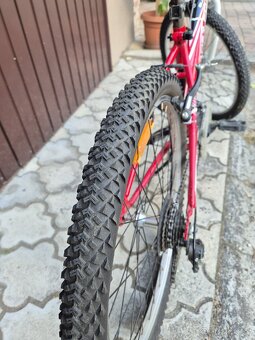 Kolo Leader Fox 24" - 4