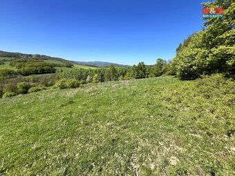 Prodej louky, 21830 m², Malšovice - Hliněná - 4
