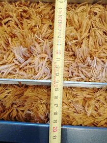 Krbová ventilační mřížka 17x70 - 4