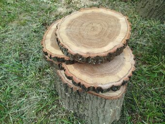 špalek na štípání - 4